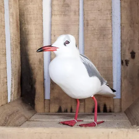 Hotell La Jetee Saint-Martin-de-Ré